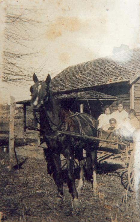 COLVERT -- Colvert Girls & Bert