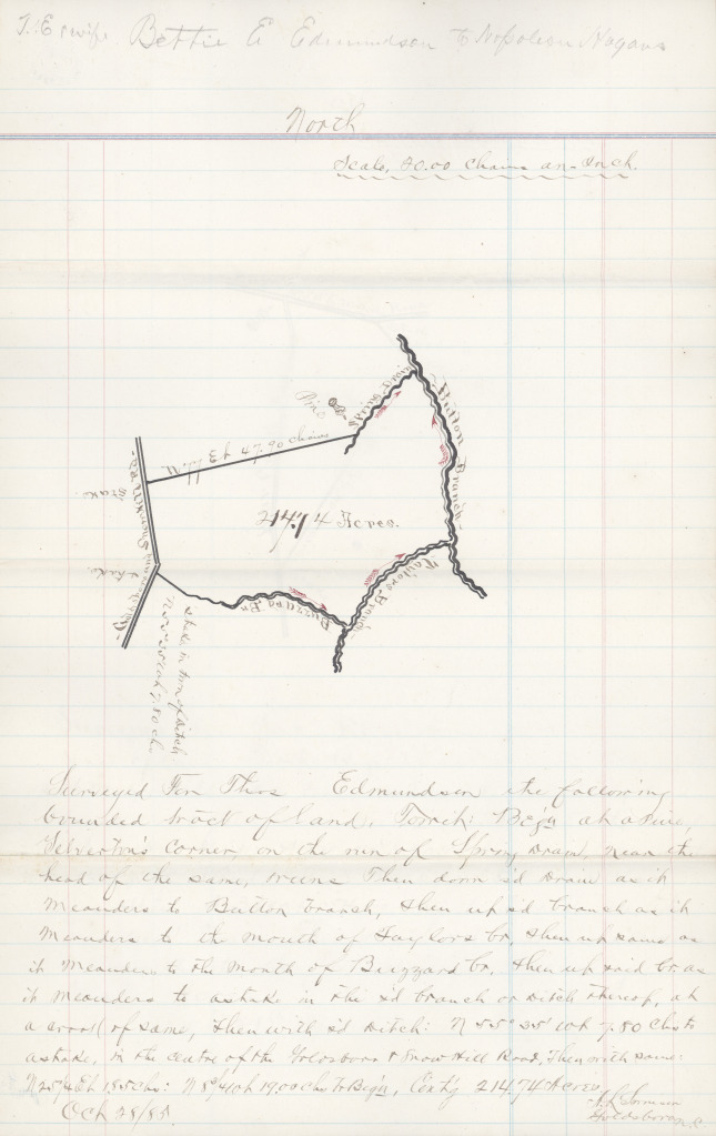 lisa_henderson _collection_14