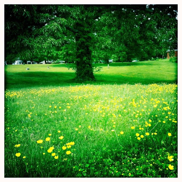 tumblr_lke4bqgaJi1qd9jg8o1_r1_1280