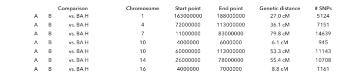 Screen_Shot_2015-04-14_at_8.53.25_PM